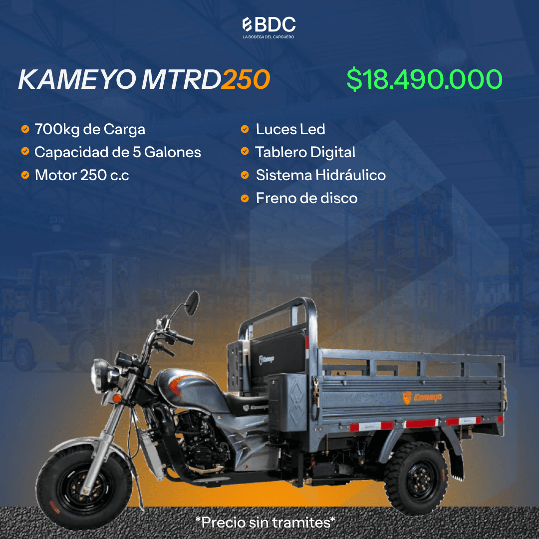 Modelo ZONLON 1000