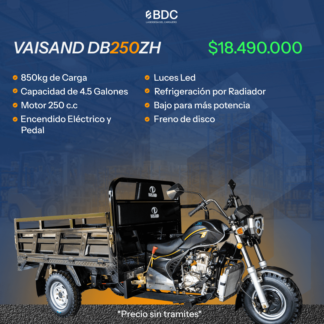 Modelo KAMEYO 800